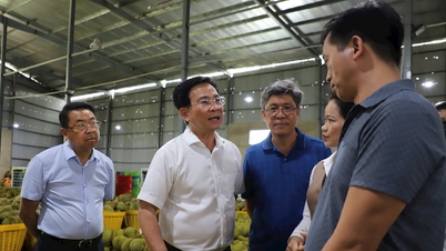 Hỗ trợ doanh nghiệp Lâm Đồng tháo gỡ vướng mắc về kiểm định chất lượng sản phẩm