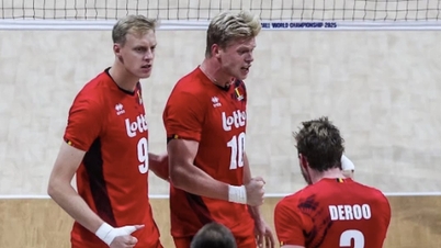 Bestem halvdelen av kvartfinalene i verdensmesterskapet i volleyball for menn