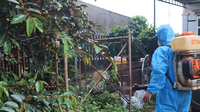 Hanoi: Die Dengue-Fieber-Situation dürfte sich in den kommenden Wochen weiter verschärfen.