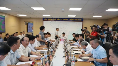 슈퍼 태풍 라가사는 동해 역사상 가장 강력한 폭풍입니다.