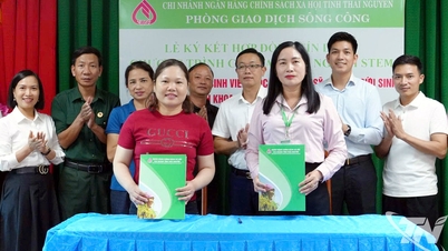ការផ្តល់ប្រាក់កម្ចីកម្មវិធីសិក្សា STEM
