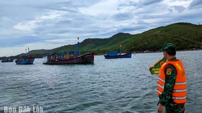 Dak Lak Border Guard proactively prevents and fights storm No. 9