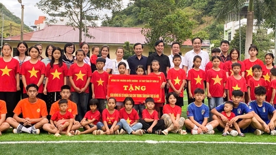 PROVINCIAL PARTY SECRETARY HOANG QUOC KHANH PRESENTS ARTIFICIAL FOOTBALL FIELD TO THE PROVINCIAL SOCIAL WELFARE CENTER