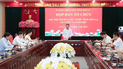 រៀបចំខ្លឹមសារយ៉ាងប្រុងប្រយ័ត្នសម្រាប់សមាជត្រាប់តាមអ្នកស្នេហាជាតិខេត្ត Son La លើកទី៦ ឆ្នាំ២០២៥