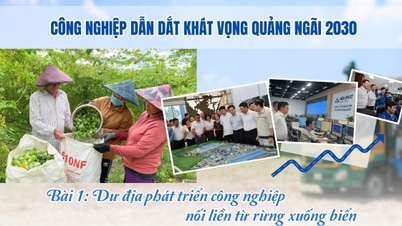 Endüstri, Quang Ngai'nin 2030 hedeflerine öncülük ediyor - Bölüm 1: Ormanı denize bağlayan kalkınma alanı