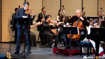 Noche de Música “Vivaldi y Beethoven”: Ritmo de las Cuatro Estaciones y un Viaje Musical a través del Tiempo