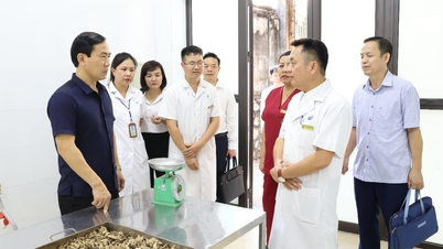 THE DIRECTOR OF THE DEPARTMENT OF HEALTH VISITS AND WORKS AT THE REHABILITATION HOSPITAL AND THE TRADITIONAL MEDICINE HOSPITAL