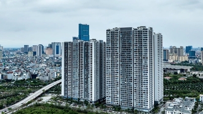 Granting construction permits for apartments to ensure compliance with urban planning