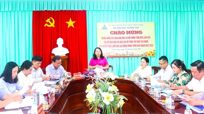ការស្ទង់មតិលើការបណ្តុះបណ្តាលវិជ្ជាជីវៈ និងការងាររបស់កម្មករនៅជនបទ