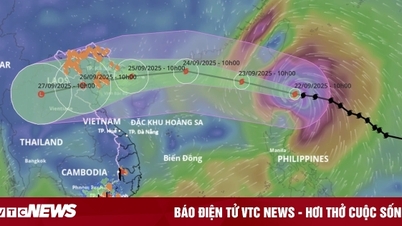Bộ Xây dựng yêu cầu hàng không điều chỉnh lịch bay để tránh siêu bão Ragasa