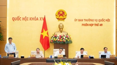 Bảo hiểm tiền gửi: Cần cơ chế minh bạch khi chi trả vượt hạn mức