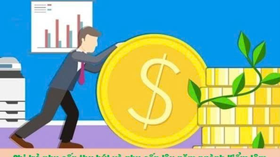 Meluluskan senarai penerima elaun tarikan dan elaun jangka panjang penjawat awam Sub-Jabatan Perhutanan mengikut Dekri 76/2019/ND-CP bertarikh 8 Oktober 2019 Kerajaan bagi 6 bulan pertama 2025