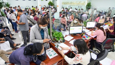 Bộ Nội vụ đề nghị tổng rà soát biên chế công chức, viên chức trên cả nước