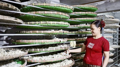 Đẩy mạnh phát triển nông nghiệp theo hướng sản xuất hàng hoá