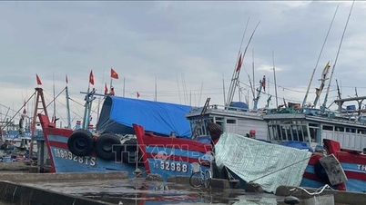 Thanh Hoa, süper tayfun Ragasa'ya erken ve uzaktan proaktif bir şekilde müdahale ediyor