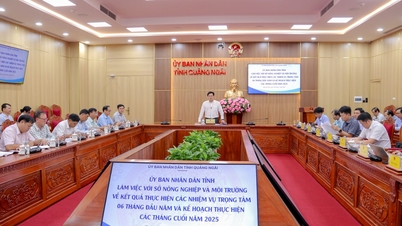 អនុប្រធានគណៈកម្មាធិការប្រជាជនខេត្ត លោក Tran Phuoc Hien បានដឹកនាំកិច្ចប្រជុំការងារជាមួយមន្ទីរកសិកម្ម និងបរិស្ថាន។