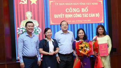 គណៈកម្មាធិការប្រជាជនខេត្ត Tay Ninh បានប្រកាសសេចក្តីសម្រេចផ្ទេរ និងតែងតាំងអនុប្រធាននាយកដ្ឋានចំនួន ០២រូប។