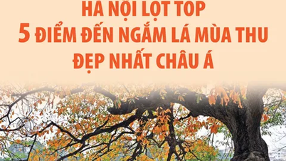 Hanoi dalam Top 5 destinasi tontonan dedaunan musim luruh yang paling indah di Asia