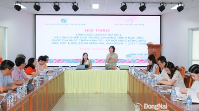 La Academia de Mujeres de Vietnam organizó un taller de evaluación final para el Proyecto 8 en Dong Nai