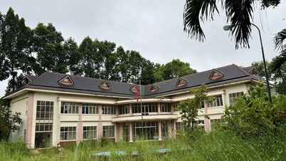 TP.HCM: Phường Phú Lợi kiến nghị chuyển đổi 2 trụ sở cơ quan cũ làm trường học
