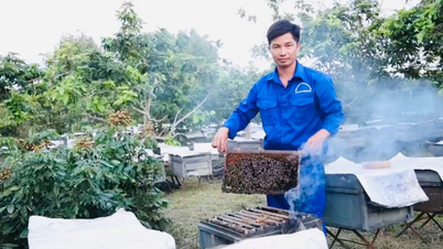 Nông dân Quảng Ngãi đi lên từ tay trắng
