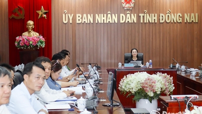 Bộ Tư pháp và Bộ Nông nghiệp và Môi trường bàn giải pháp gỡ 'điểm nghẽn' đất đai