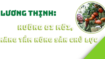 Luong Thinh : Nouvelle direction, valorisation des produits agricoles clés