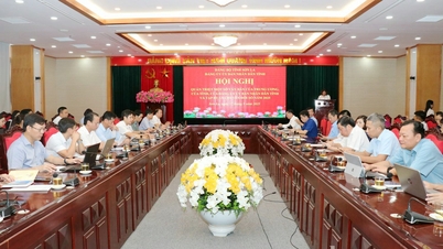 Conference to disseminate and implement a number of documents of the Central Government, the Province, the Provincial Party Committee and the Provincial People's Committee and training on Digital Transformation in 2025