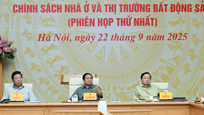 [Foto] Statsminister Pham Minh Chinh leder det første møtet i den sentrale styringskomiteen for boligpolitikk og eiendomsmarkedet
