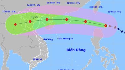 Chủ động phòng ngừa PCCC và Sự cố hóa chất trong phòng, chống bão số 9 năm 2025 (Ragasa)