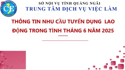 Thông tin tuyển dụng lao động trên địa bàn tỉnh Quảng Ngãi tháng 6 năm 2025