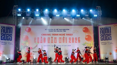 Das Kulturzentrum der Provinz Ninh Binh organisiert das Kunstprogramm „Willkommen zum neuen Jahr 2025“