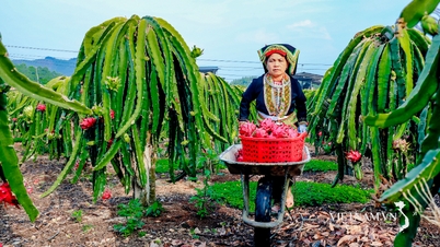Đổi mới