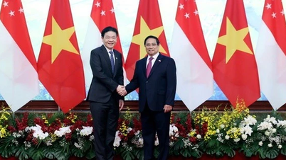 Phiên họp Việt Nam-Singapore: Trao đổi, thúc đẩy hợp tác trên nhiều lĩnh vực