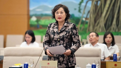 49th Session of the National Assembly Standing Committee: Creating a clear legal corridor for deposit insurance organizations to better protect depositors' rights