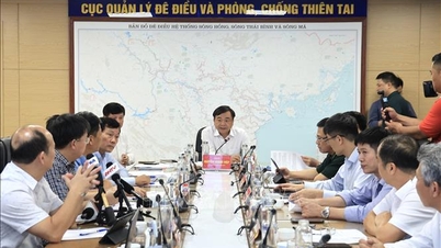 Ministrul adjunct Nguyen Hoang Hiep: Răspundeți proactiv la ploile abundente cauzate de furtuni și asigurați siguranța rezervorului