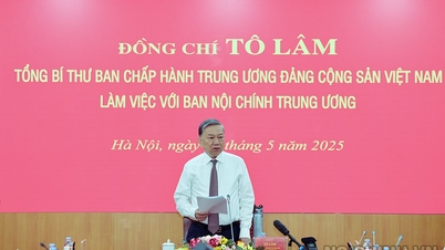 Triển khai thực hiện Kết luận chỉ đạo của Tổng Bí thư Tô Lâm về công tác nội chính, phòng chống tham nhũng