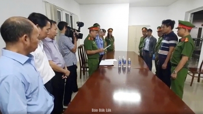 Vụ việc kê khống dịch vụ tán sỏi laser tại Bệnh viện Đa khoa vùng Tây Nguyên: Khởi tố, bắt tạm giam 2 trưởng khoa
