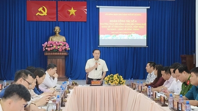 Ho Si Minh-város Népi Tanácsa felmérést végzett a kerületekben és a községekben július 1. után: Dong Thanh község az infrastruktúra fejlesztését javasolja