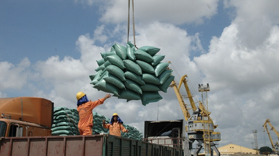 Telegram of the Ministry of Industry and Trade on strengthening the stability of the rice market