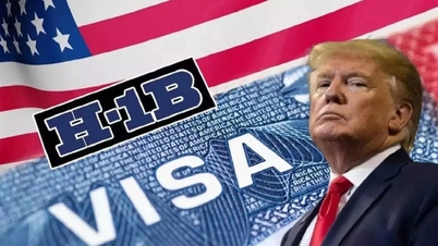 Cú sốc visa H-1B 100.000 USD: Big Tech Mỹ khốn đốn, thế giới mừng thầm