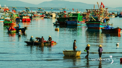 Nhịp sống làng biển