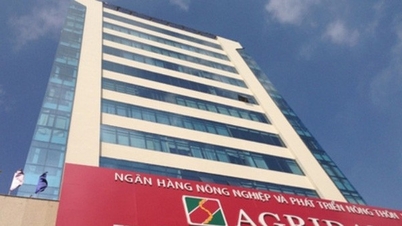 Agribank äußert sich zur Fahndung nach dem ehemaligen Vorsitzenden Nguyen The Binh