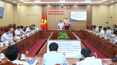 វិស័យកសិកម្ម និងបរិស្ថានខេត្ត Quang Ngai សម្រេចបានលទ្ធផលវិជ្ជមានជាច្រើនក្នុងរយៈពេល 5 ខែដំបូងនៃឆ្នាំ 2025