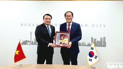 Phó Chủ tịch UBND tỉnh Nghệ An Phùng Thành Vinh làm việc với lãnh đạo thành phố Busan (Hàn Quốc)