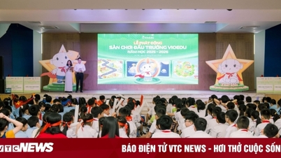 Từ Toán, Tiếng Anh đến Tài chính: VioEdu mở rộng sân chơi toàn diện