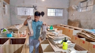 একজন মুওং লোকের স্টার্টআপ গল্প: যদি তুমি এটা করার সাহস না করো, দারিদ্র্য তোমাকে যেতে দেবে না