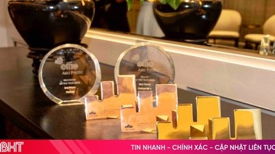 Vinfast ឈ្នះរង្វាន់ធំនៅ APAC Effie Award 2025