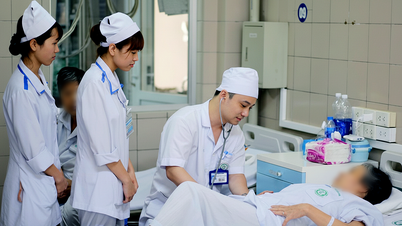 Sinh viên theo học nhóm ngành y tế đặc thù sẽ được miễn học phí