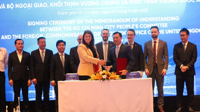 Ho Chi Minh City cooperates in developing TOD urban areas, towards a connected super city